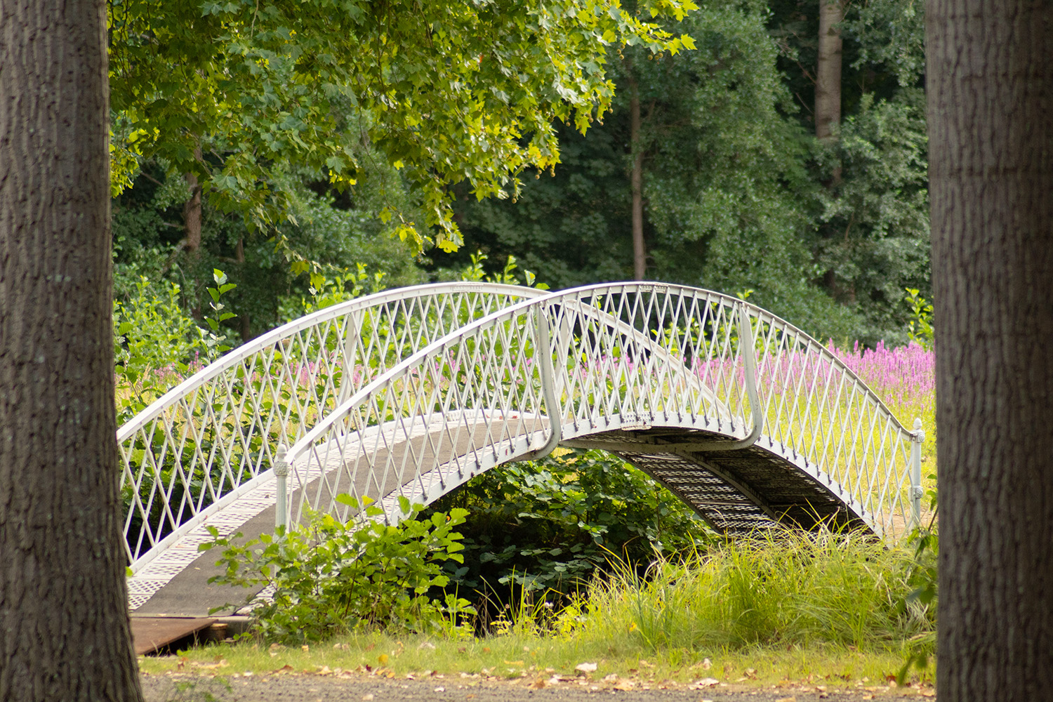 Château de Drogenbos Domaine lac pont nature